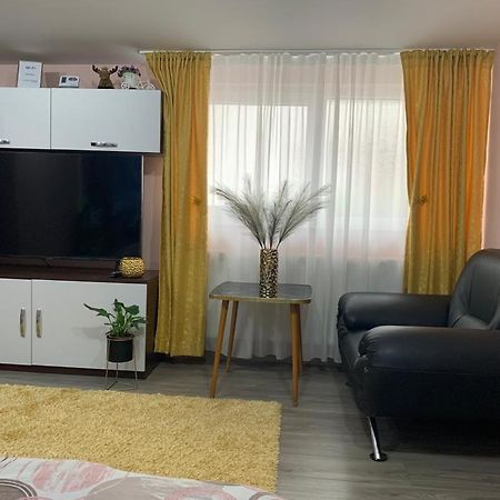 Garsoniera Madalina Apartment Sibiu Bagian luar foto