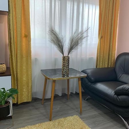 Garsoniera Madalina Apartment Sibiu Bagian luar foto