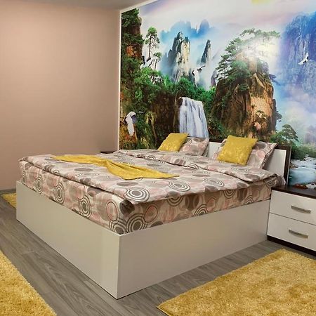 Garsoniera Madalina Apartment Sibiu Bagian luar foto