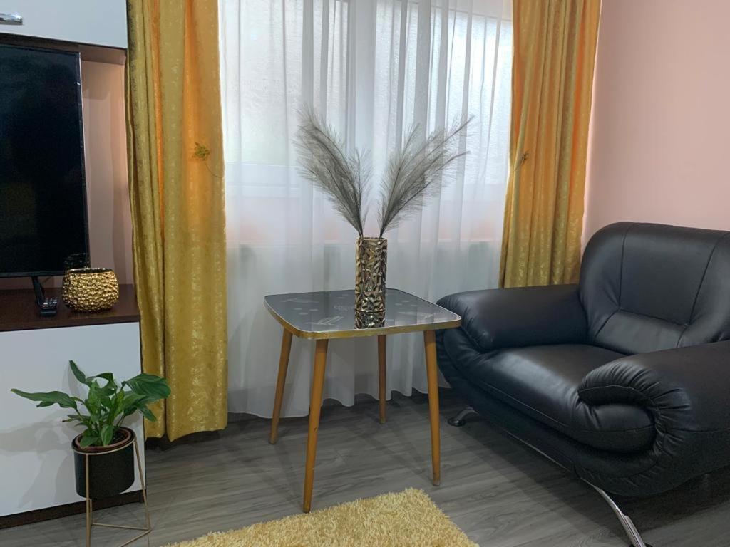 Garsoniera Madalina Apartment Sibiu Bagian luar foto