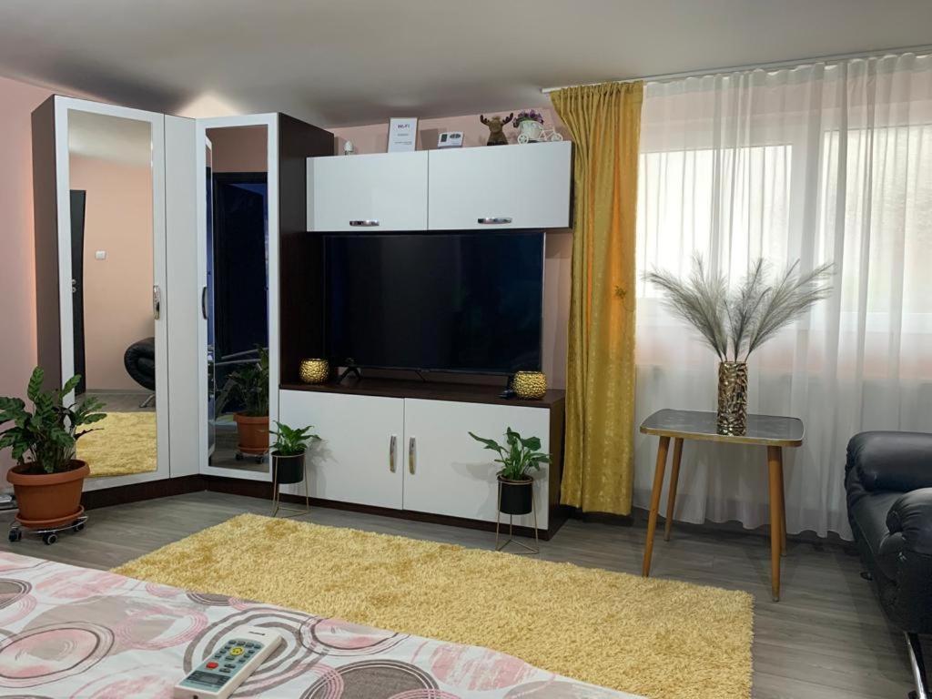 Garsoniera Madalina Apartment Sibiu Bagian luar foto