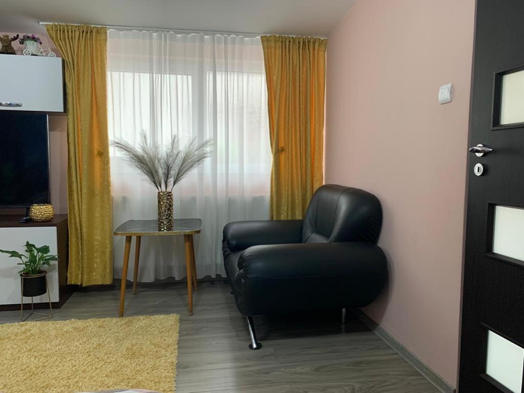 Garsoniera Madalina Apartment Sibiu Bagian luar foto
