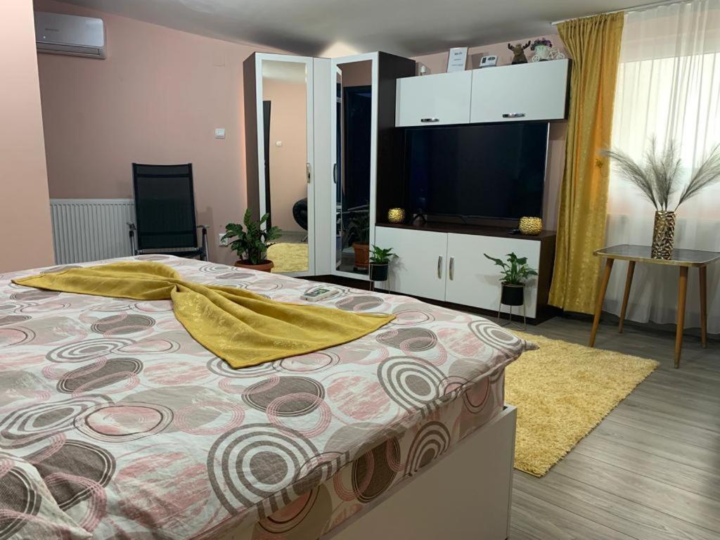 Garsoniera Madalina Apartment Sibiu Bagian luar foto